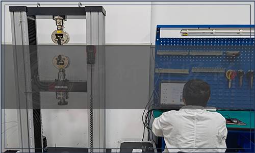 浙江省農產品質量安全學會關于發布《生態優品 構樹袋裝青貯技術規范》等3項團體標準的公告(第009號)