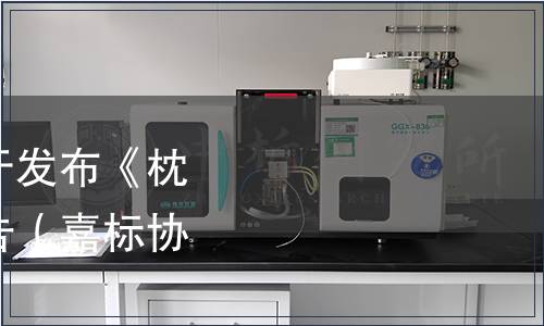 嘉興市標準化協會關于發布《枕頭粽》團體標準的公告（嘉標協〔2024〕8號）