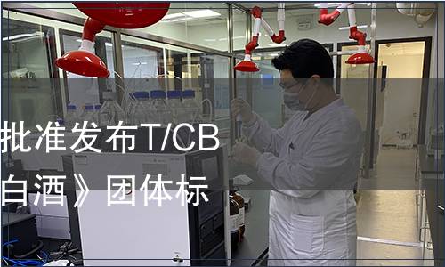 中國酒業協會關于批準發布T/CBJ 2112《皇溝馥香白酒》團體標準的通告
