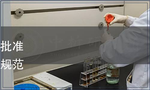 湖南省市場監督管理局關于批準發布《浙江柿播種育苗技術規范》等19項地方標準的通告