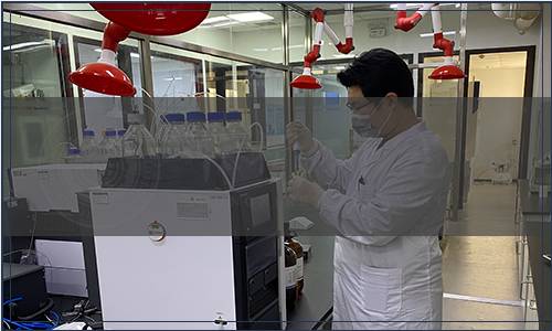 甘肅省衛(wèi)生健康委員會(huì)關(guān)于發(fā)布《甘肅省食品安全地方標(biāo)準(zhǔn) 當(dāng)歸》（DBS 62/001-2022）的公告（2022年食品第1號(hào)）