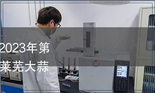 濟(jì)南市地方標(biāo)準(zhǔn)公告（2023年第4號）|《地理標(biāo)志產(chǎn)品 萊蕪大蒜》等4項(xiàng)地方標(biāo)準(zhǔn)