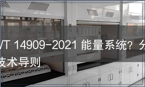GB/T 14909-2021 能量系統？分析技術導則