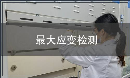 最大應變檢測