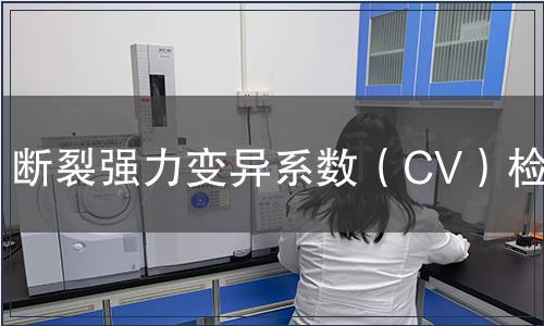 斷裂強力變異系數（CV）檢測