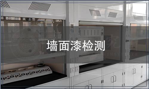 墻面漆檢測(cè)