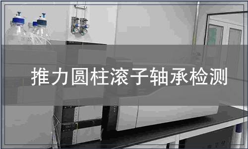 推力圓柱滾子軸承檢測