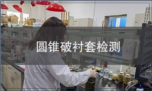 圓錐破襯套檢測