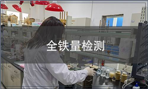 全鐵量檢測(cè)