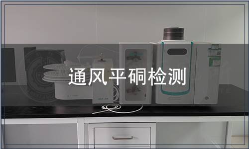通風平硐檢測