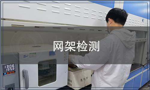 網架檢測