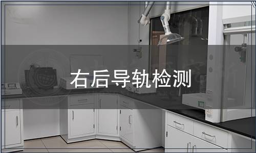 右后導軌檢測