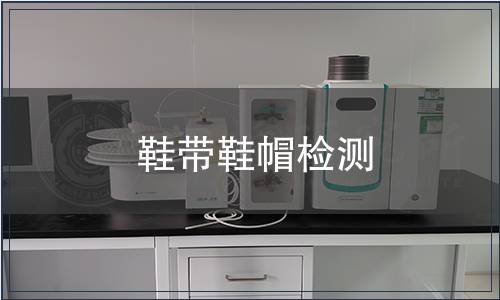 鞋帶鞋帽檢測(cè)