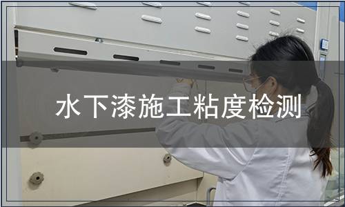 水下漆施工粘度檢測(cè)