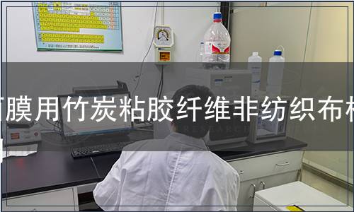 面膜用竹炭粘膠纖維非紡織布檢測