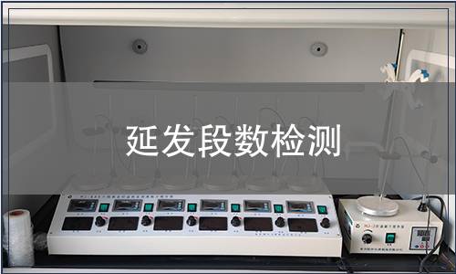 延發段數檢測