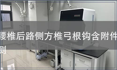 胸腰椎后路側方椎弓根鉤含附件檢測