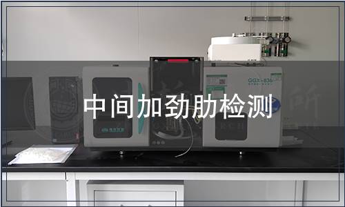 中間加勁肋檢測
