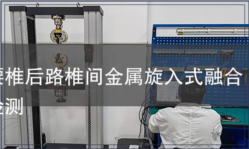 胸腰椎后路椎間金屬旋入式融合器檢測(cè)