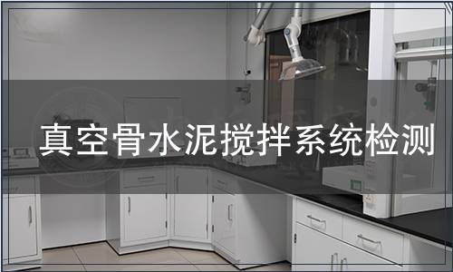 真空骨水泥攪拌系統檢測