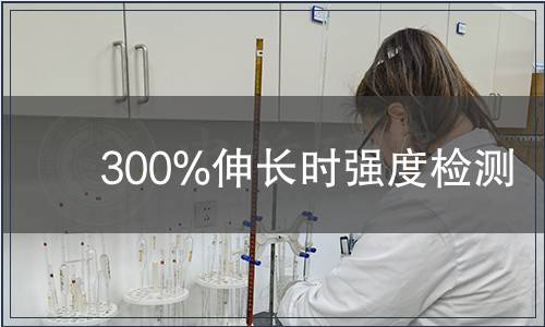 300%伸長時強度檢測