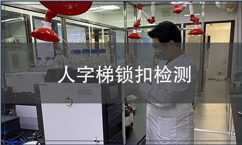 人字梯鎖扣檢測