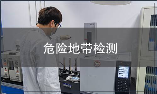 危險地帶檢測