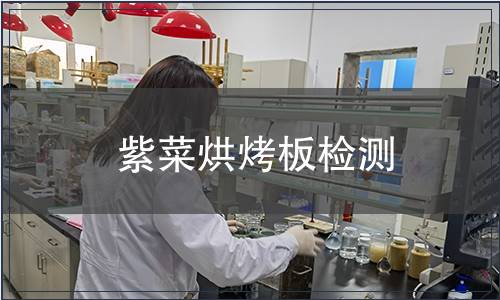 紫菜烘烤板檢測