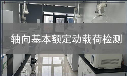 軸向基本額定動載荷檢測