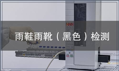 雨鞋雨靴（黑色）檢測(cè)