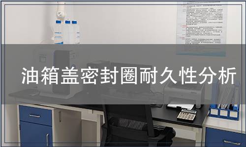 油箱蓋密封圈耐久性分析