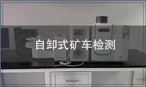 自卸式礦車檢測