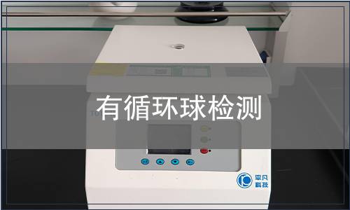 有循環(huán)球檢測(cè)