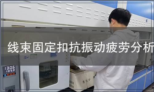 線束固定扣抗振動疲勞分析