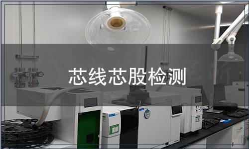 芯線芯股檢測