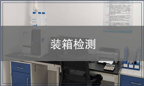 裝箱檢測