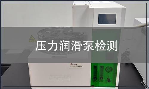 壓力潤(rùn)滑泵檢測(cè)