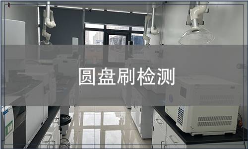 圓盤刷檢測