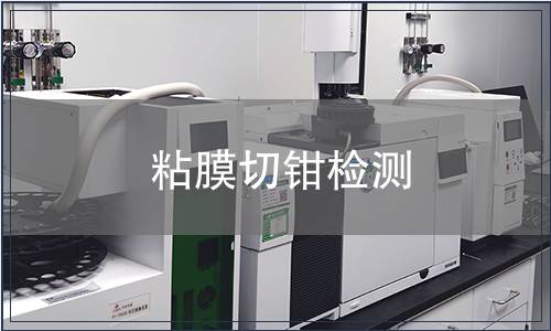 粘膜切鉗檢測