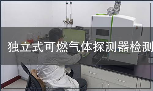 獨立式可燃?xì)怏w探測器檢測