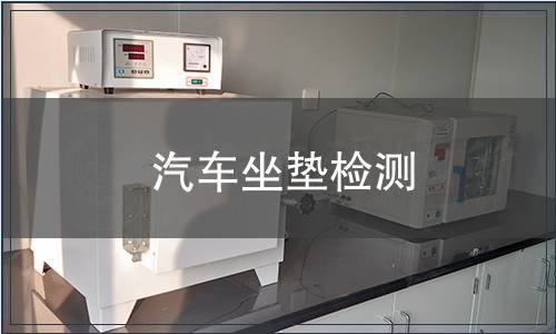 汽車(chē)坐墊檢測(cè)