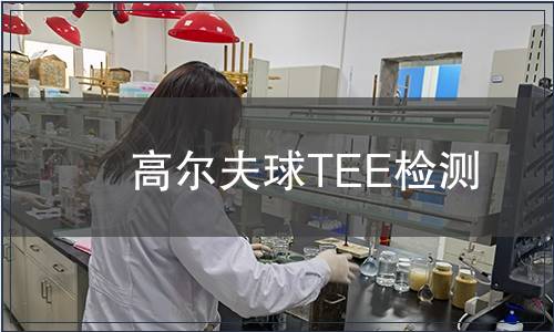 高爾夫球TEE檢測