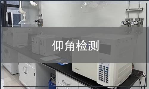 仰角檢測