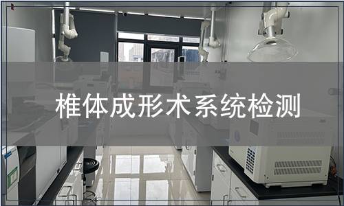 椎體成形術(shù)系統(tǒng)檢測