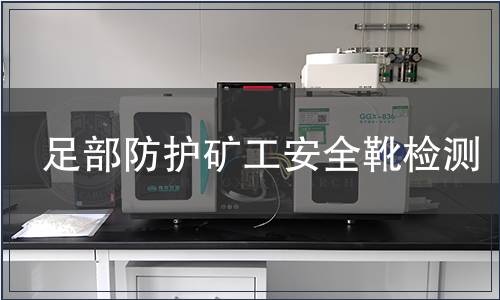 足部防護(hù)礦工安全靴檢測(cè)