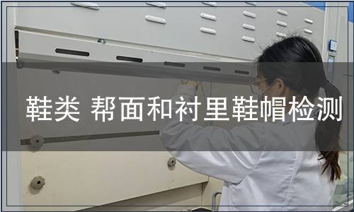 鞋類 幫面和襯里鞋帽檢測