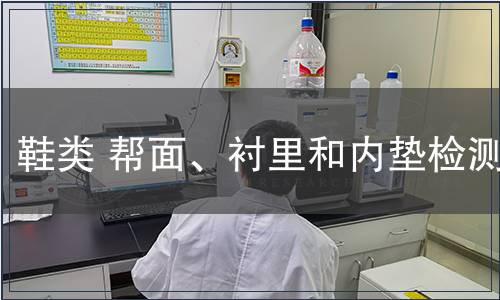 鞋類 幫面、襯里和內(nèi)墊檢測(cè)