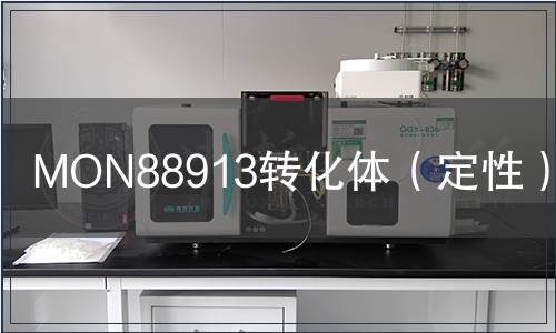 MON88913轉化體（定性）檢測