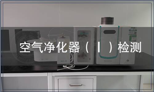 空氣凈化器（Ⅰ）檢測