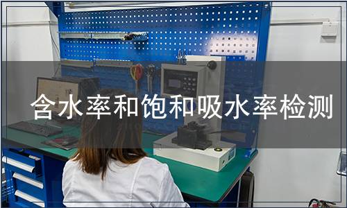 含水率和飽和吸水率檢測(cè)